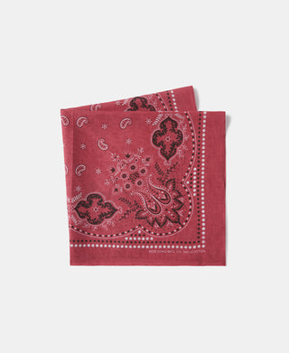 Paisley & Totem Print Bandana